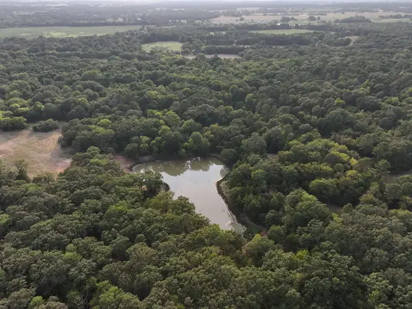 Wooded Acreage in Pine Hill